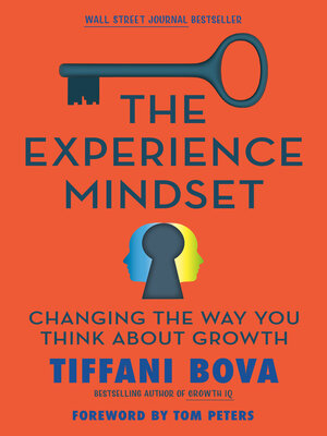 cover image of The Experience Mindset